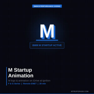 M Startup Animation hero